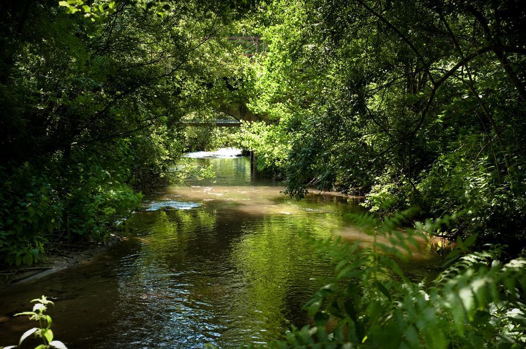 Chambres D'Hotes La Pinderie Val-Couesnon Exteriér fotografie